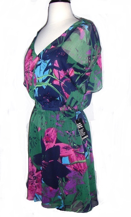 Express Floral LiIlly Print Chiffon Dress NWT
