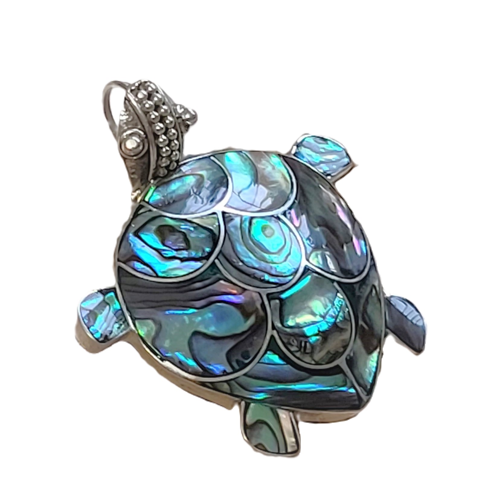 Paua Shell & 925 Sterling Silver Turtle Pendant/Pin