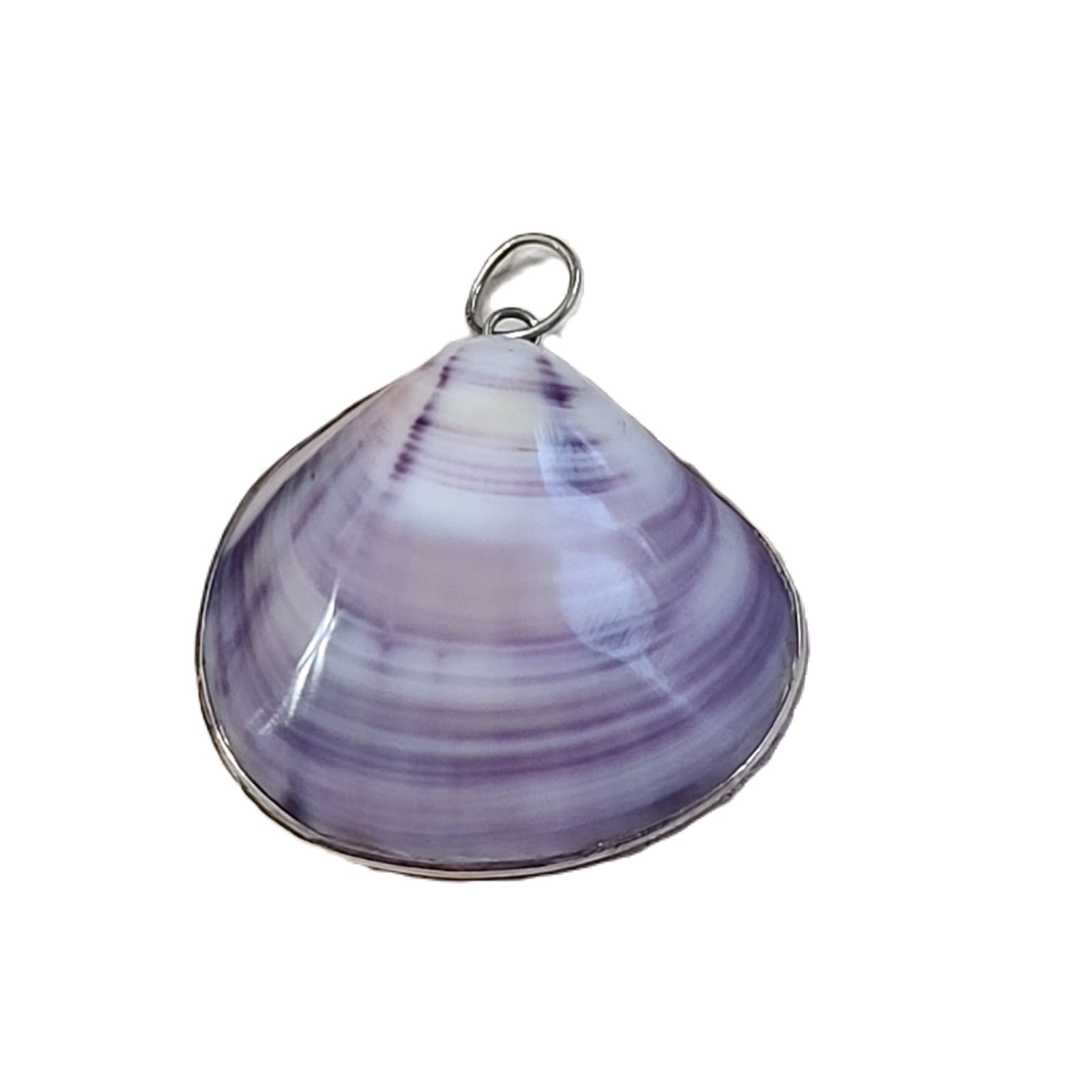 Purple Clam Shell Set in Sterling Silver Pendant