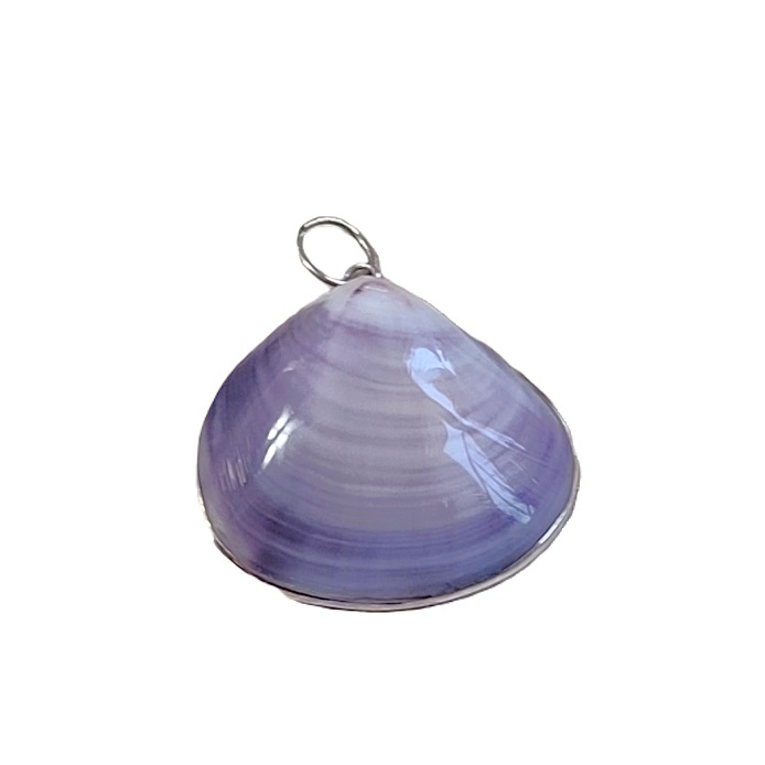 Purple Clam Shell Set in Sterling Silver Pendant - Click Image to Close