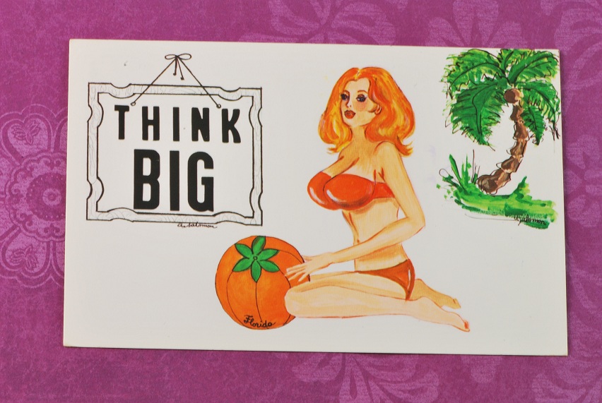 Postcard 1972 THINK BIG Women Pinup from Florida