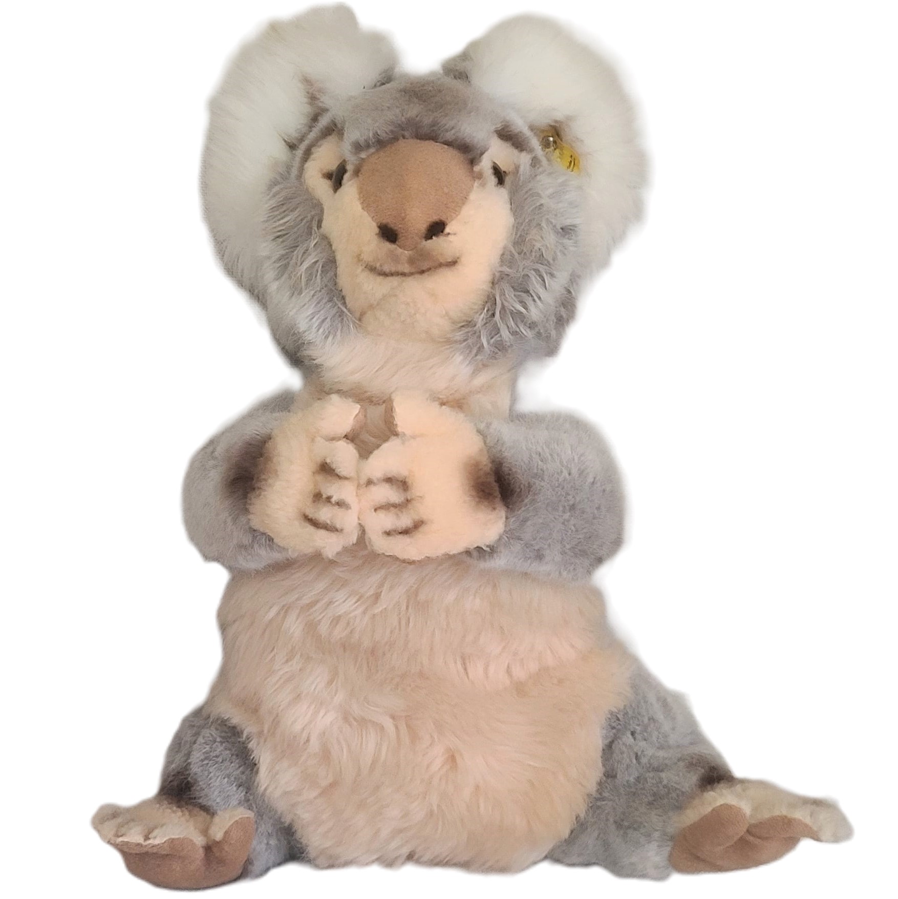 STEIFF Koala Bear, Molly 0331/40 Made in Germany - Click Image to Close