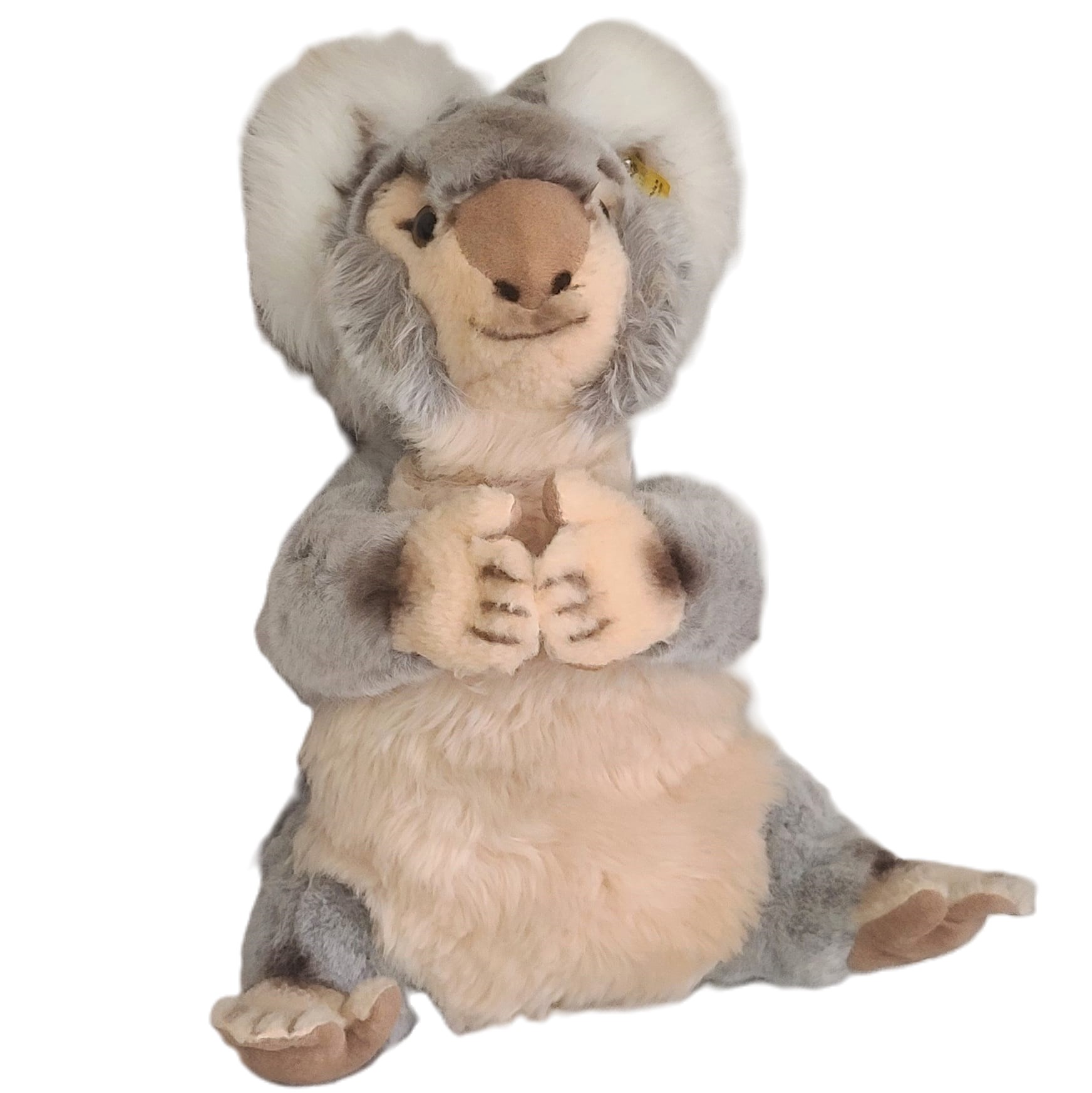 STEIFF Koala Bear, Molly 0331/40 Made in Germany